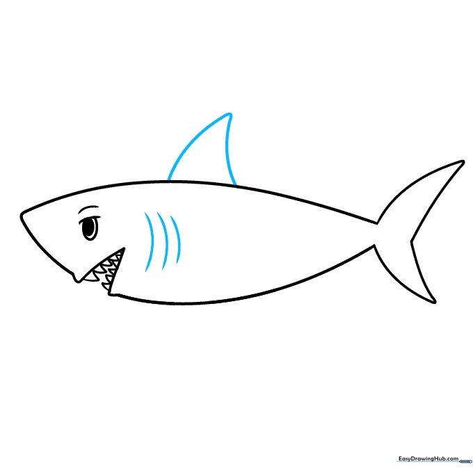 Adding a dorsal fin to the back and gill slits to the side of the shark.