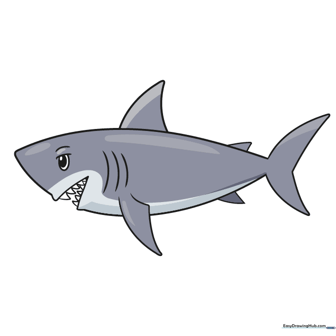 A fully colored cartoon shark with gray skin and blue background.