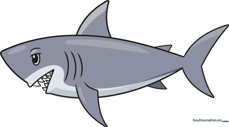 A colorful, friendly cartoon shark illustration designed for kids to learn drawing.