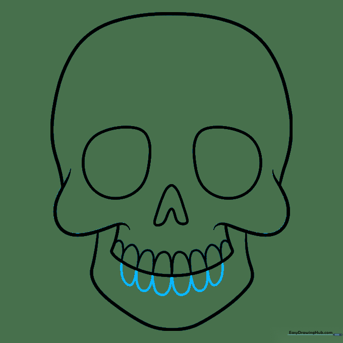 Adding the bottom row of teeth to match the top row.