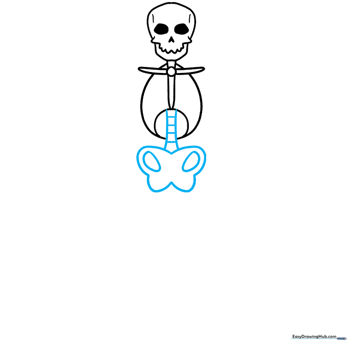 Adding the pelvic bone structure below the rib cage.
