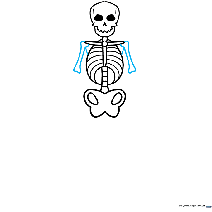 Drawing the upper and lower arm bones with bumpy outlines.