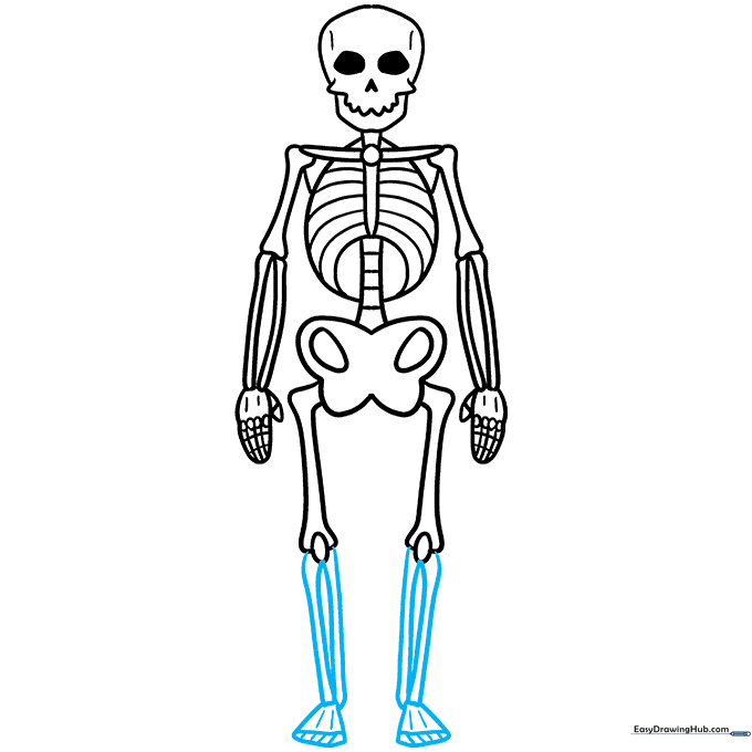 Finalizing the skeleton drawing with dark outlines and filled-in eye sockets.