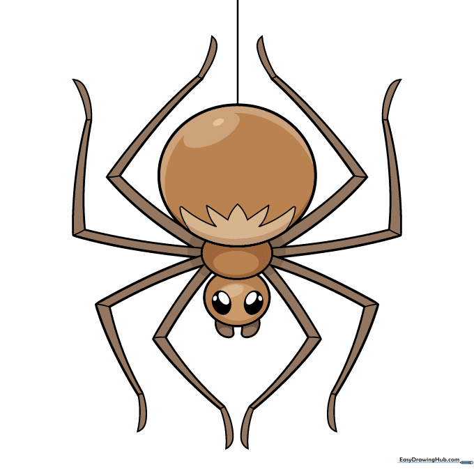 Finished, colorful cartoon spider drawing.