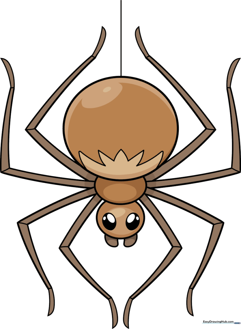 A friendly, colorful cartoon spider hanging from a web, perfect for kids to draw.