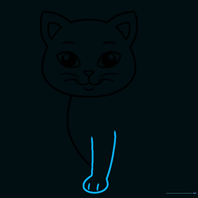 A single front leg with a rounded paw and toe markings.