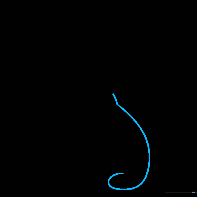 The outline of the cat's back leg showing a curved, seated posture.