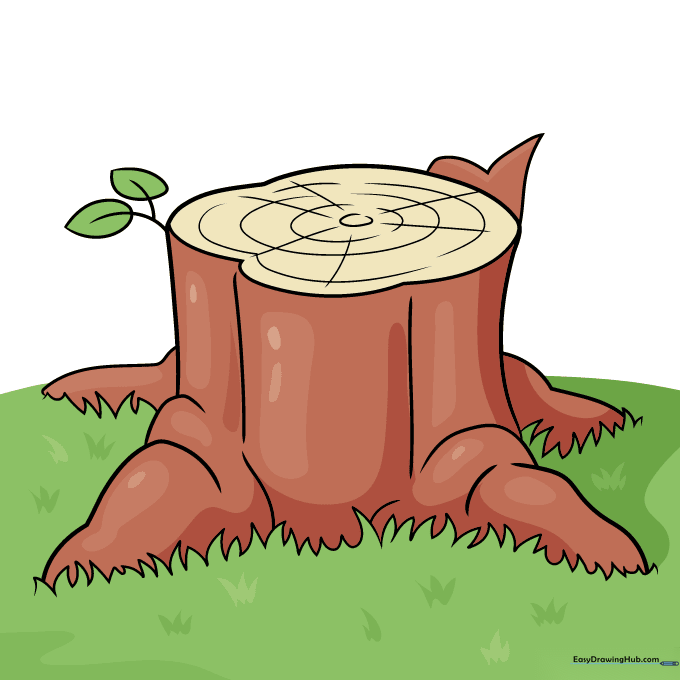 Finished, colored drawing of a tree stump with brown bark and green foliage.