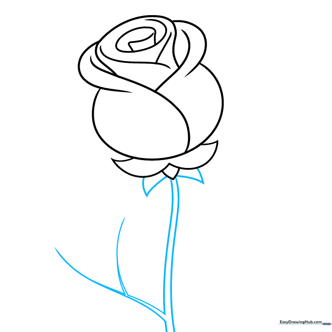 Adding two more sepals and a long, curved stem with a small branch.