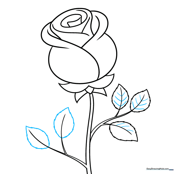 Adding leaf veins by drawing curved lines from the center of each leaf.