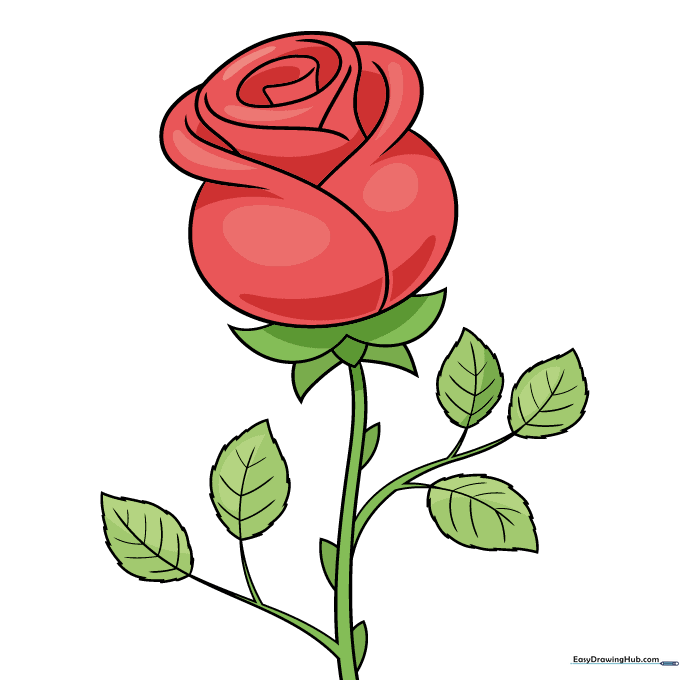 A fully colored, vibrant rose drawing ready for a Valentine's Day card.