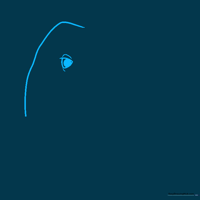 Line drawing of an elephant head profile showing the forehead, trunk bridge, and eye detail.