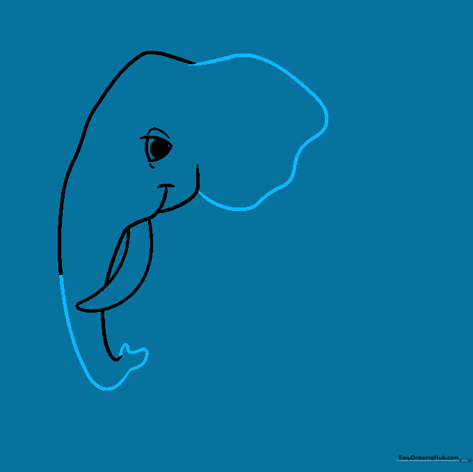Drawing showing the completed elephant trunk tip and the outline of the large ear.