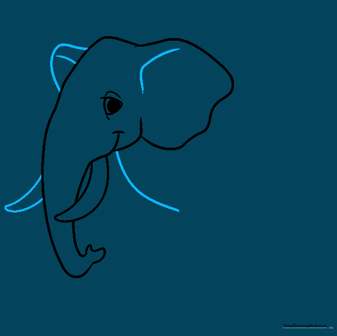 Drawing of the elephant's head with both ears visible and the start of the chest line.