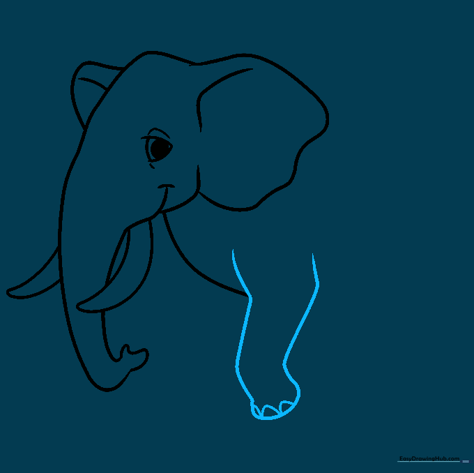 Drawing of the elephant's front leg with detailed toenails.