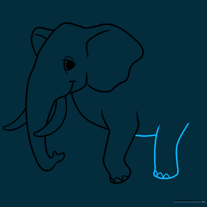 Drawing showing the elephant's belly line and the back leg construction.