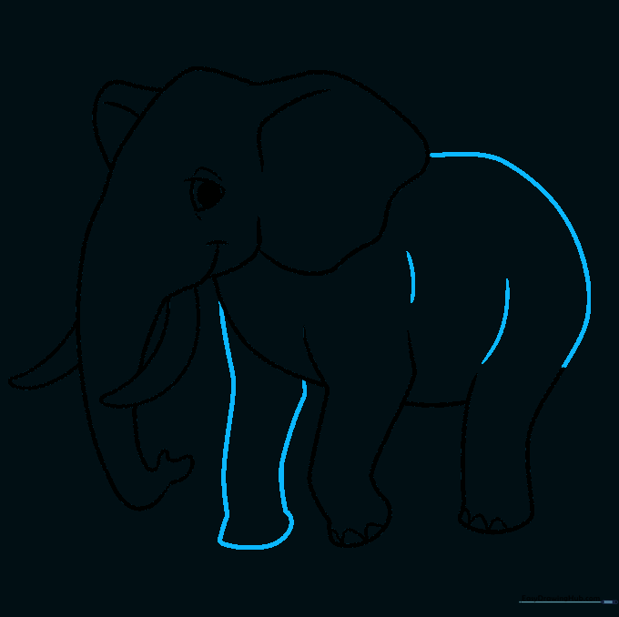 Drawing of the elephant's body outline including the second front leg.