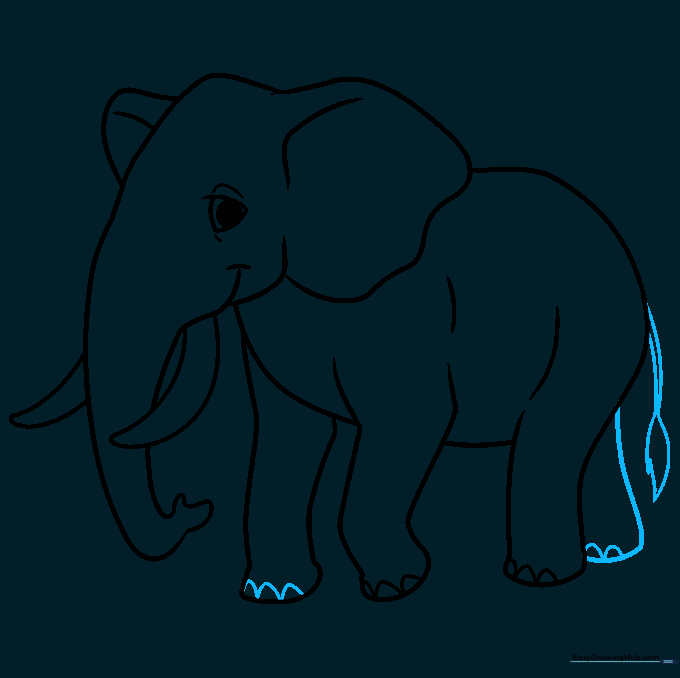 Drawing showing the completed leg set and the addition of the elephant's tail.