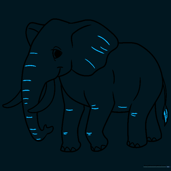 Close-up drawing of the elephant tail with a tuft of hair at the tip.