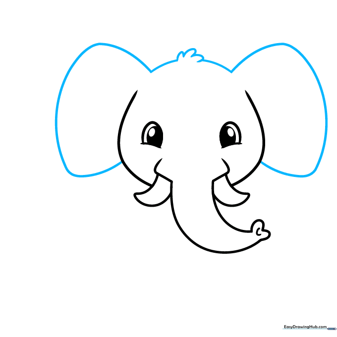 Sketching large, floppy elephant ears with a small tuft of hair on top