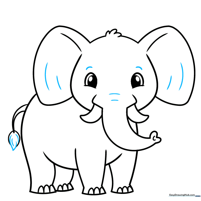 Adding final contour lines to the elephant's face and ears for detail