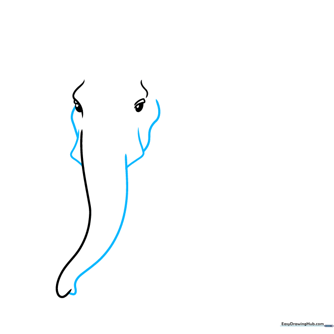 Drawing the elephant's facial structure and trunk base using smooth, continuous curved lines.