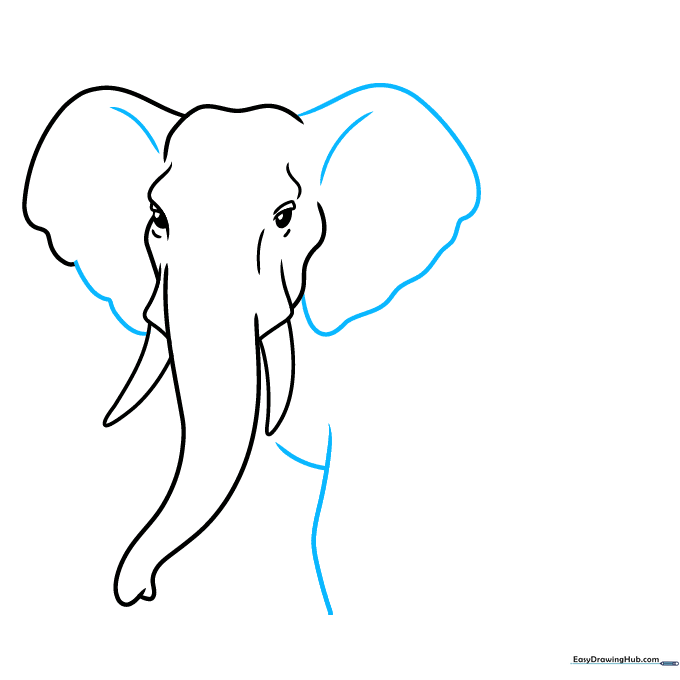 Sketching the elephant's chest and front leg using a Y-shaped guide line.