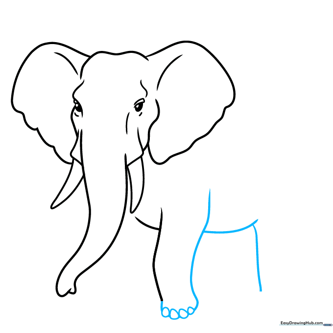 Adding the elephant's belly and rear leg with toenail details.