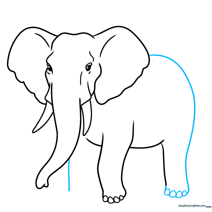 Drawing the elephant's back and rear profile to complete the main body shape.