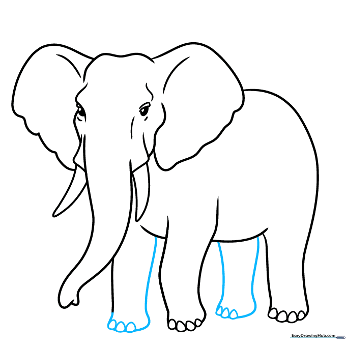 Adding the back legs to the elephant drawing to create a sense of depth.