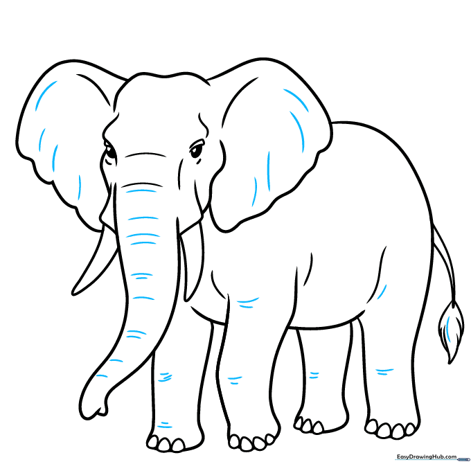 Adding fine details like wrinkles to the elephant's trunk and knees.