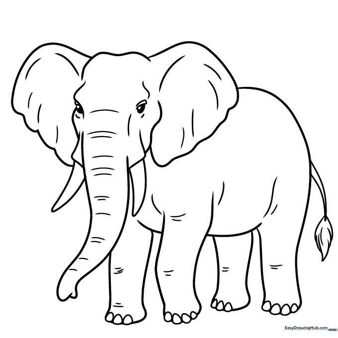 The finished elephant drawing, ready for coloring with gray and brown tones.