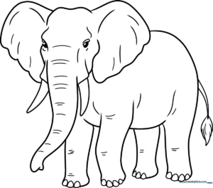 A friendly, completed elephant outline drawing, perfect for kids to color.