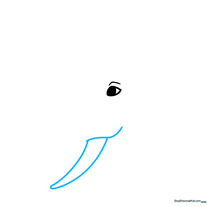 Sketching the curved, pointed tusk of an elephant next to the eye.