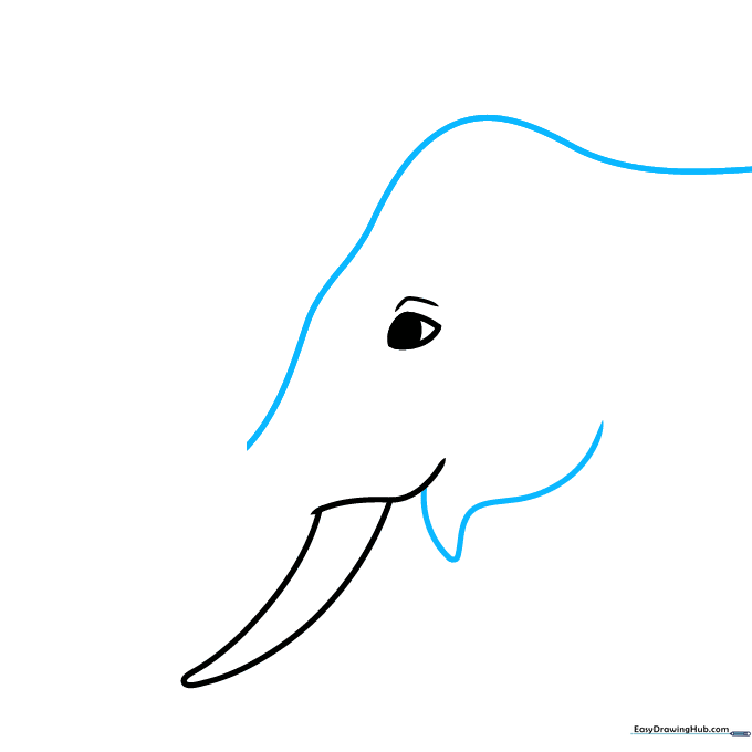 Outlining the elephant's head and jaw shape with smooth curved lines.