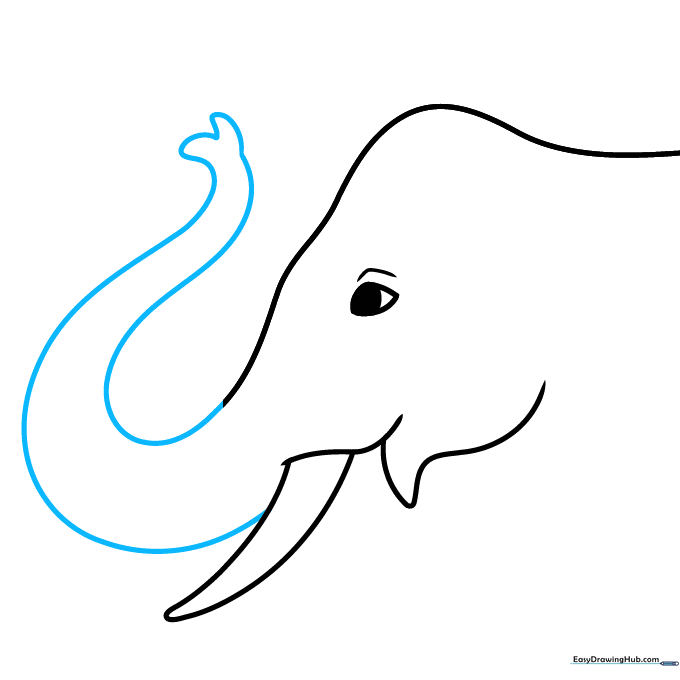 Drawing the long, curved elephant trunk with a wavy tip.