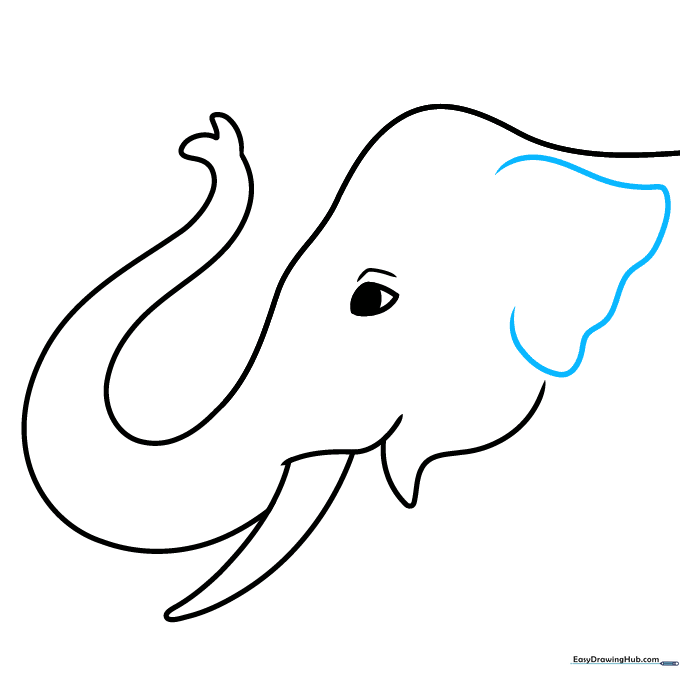 Adding a large, curved ear to the side of the elephant's head.