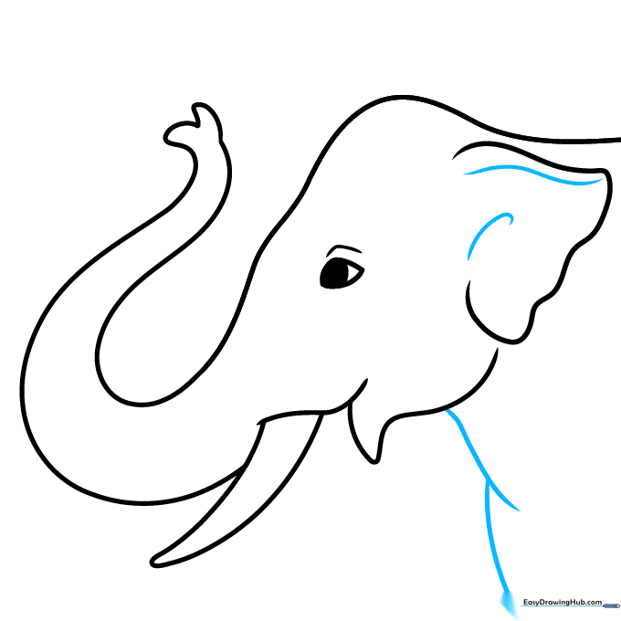 Adding detail lines to the ear and outlining the elephant's chest.