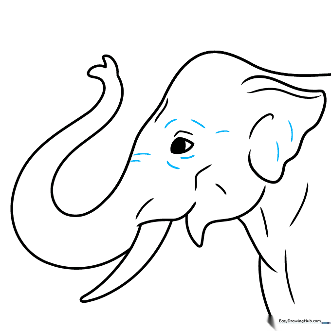 Adding fine detail lines around the eye and ear for texture.