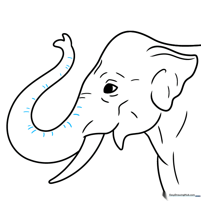 Drawing horizontal wrinkle lines along the length of the elephant trunk.