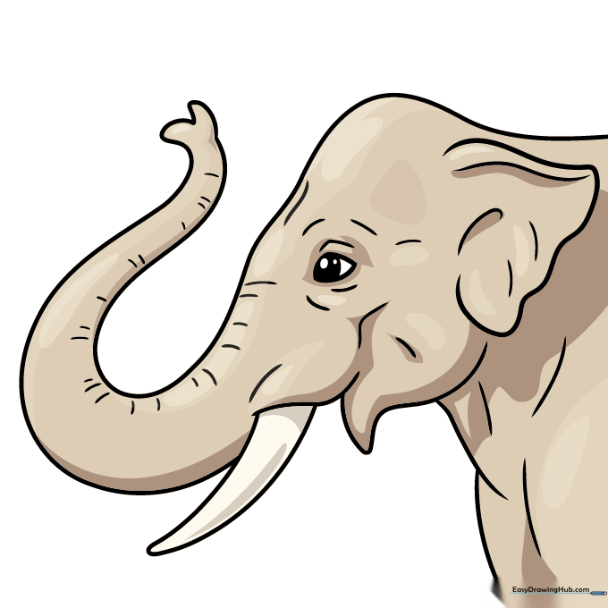 A finished, colored elephant trunk drawing with realistic gray and earthy tones.
