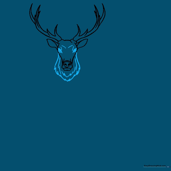 Detailed elk face with eyes and textured fur lines on the neck.