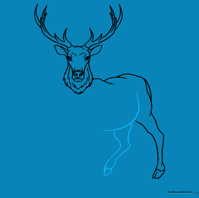 Elk body outline showing the belly curve and the second rear leg.