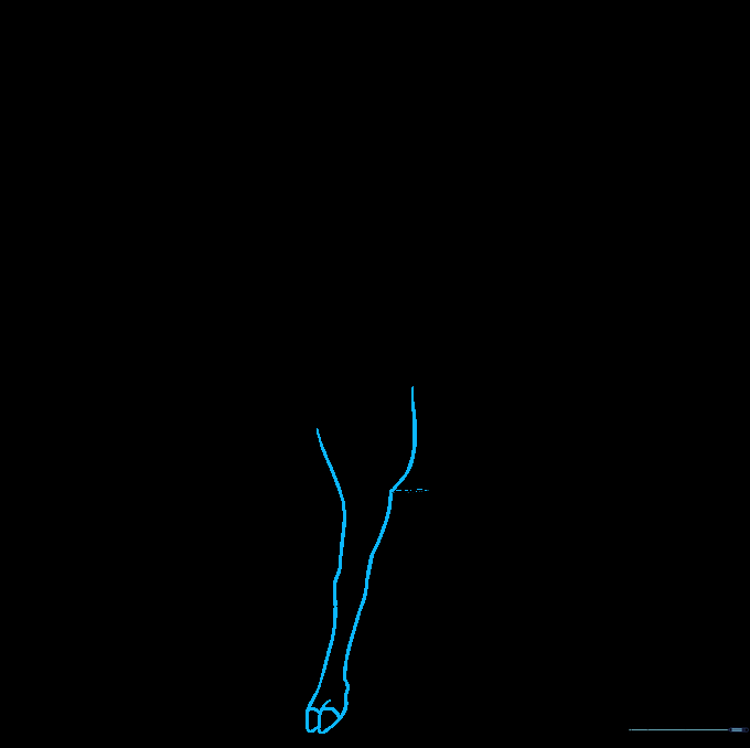 Elk drawing with two front legs added, showing sturdy structure and hooves.