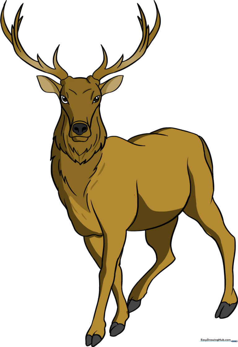 A vibrant, finished drawing of a majestic elk standing in a forest setting.