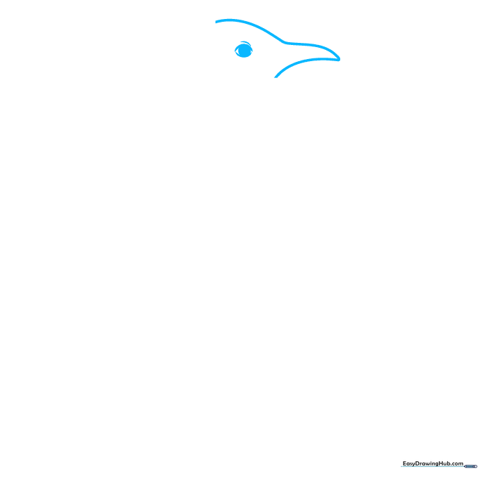 Pencil sketch showing the initial outline of an Emperor Penguin's head, beak, and eye on a white background.