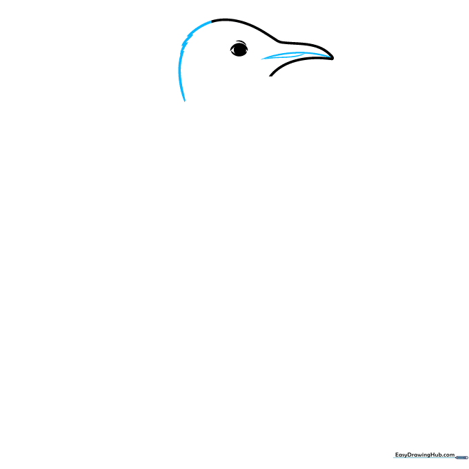 Close-up of the penguin head with added jagged lines to represent feathery texture.