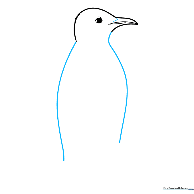 Outline of the penguin's long, curved body shape extending from the head.