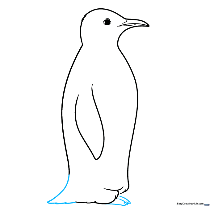 Drawing the penguin's tail and the first webbed foot with claw details.