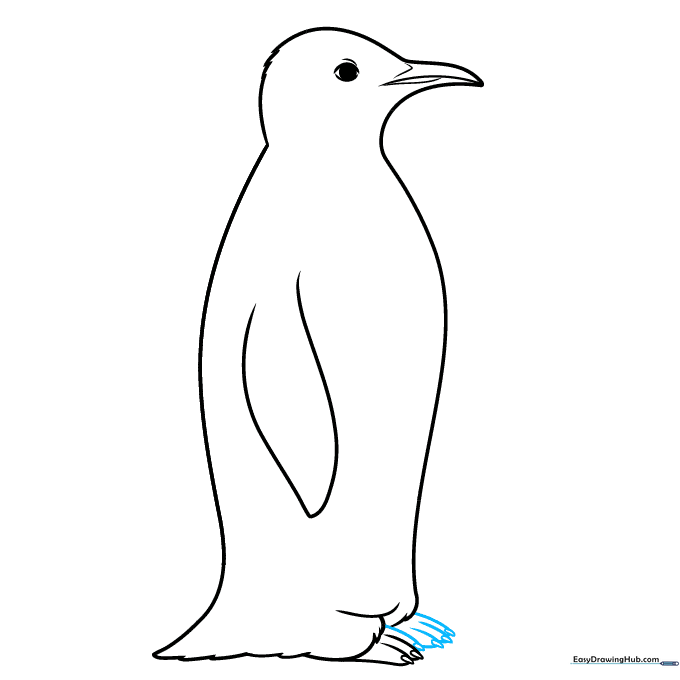 Adding the second foot to the drawing to complete the penguin's stance.